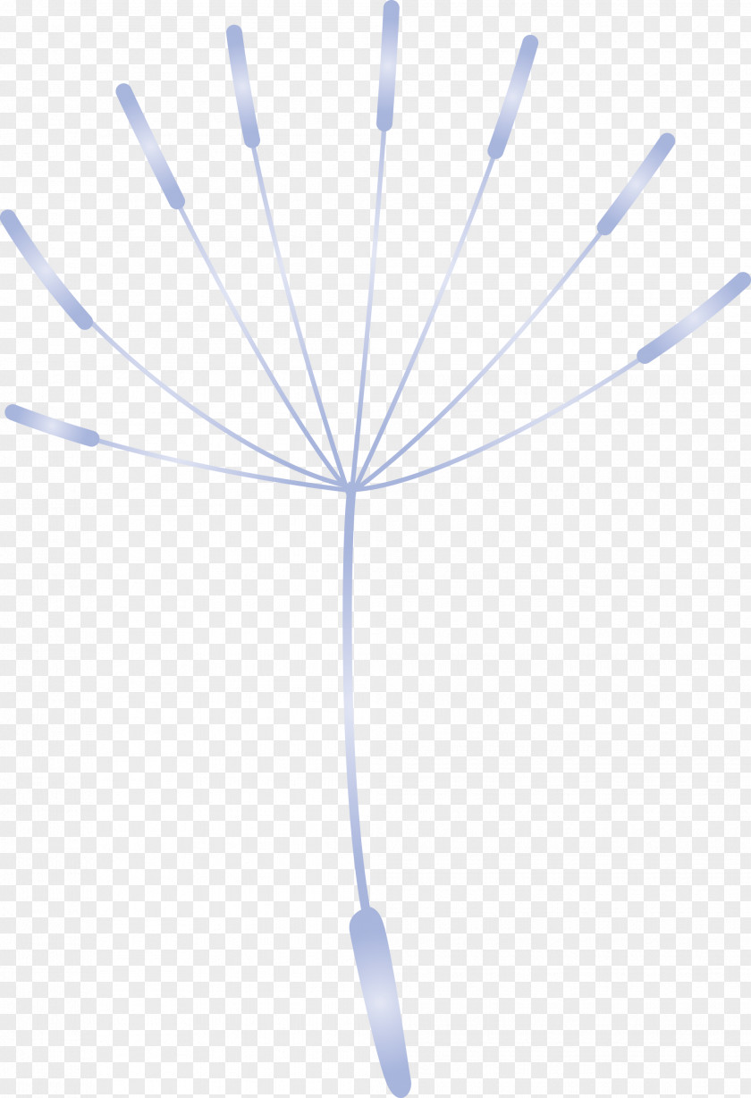 Dandelion PNG