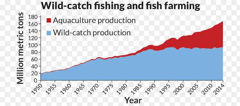 Fish Farm Farming Chart Aquaculture Fishing Agriculture PNG