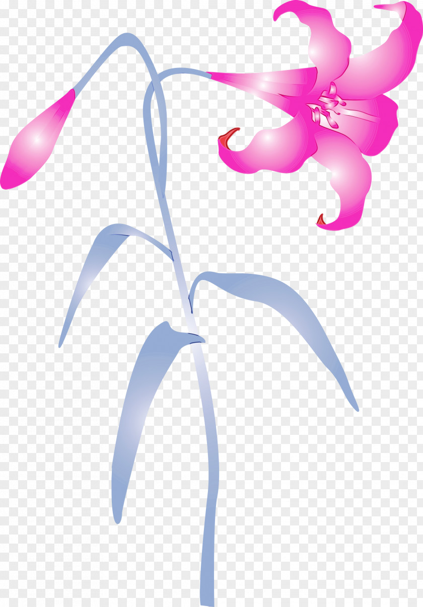 Flower Pink Plant Pedicel Petal PNG