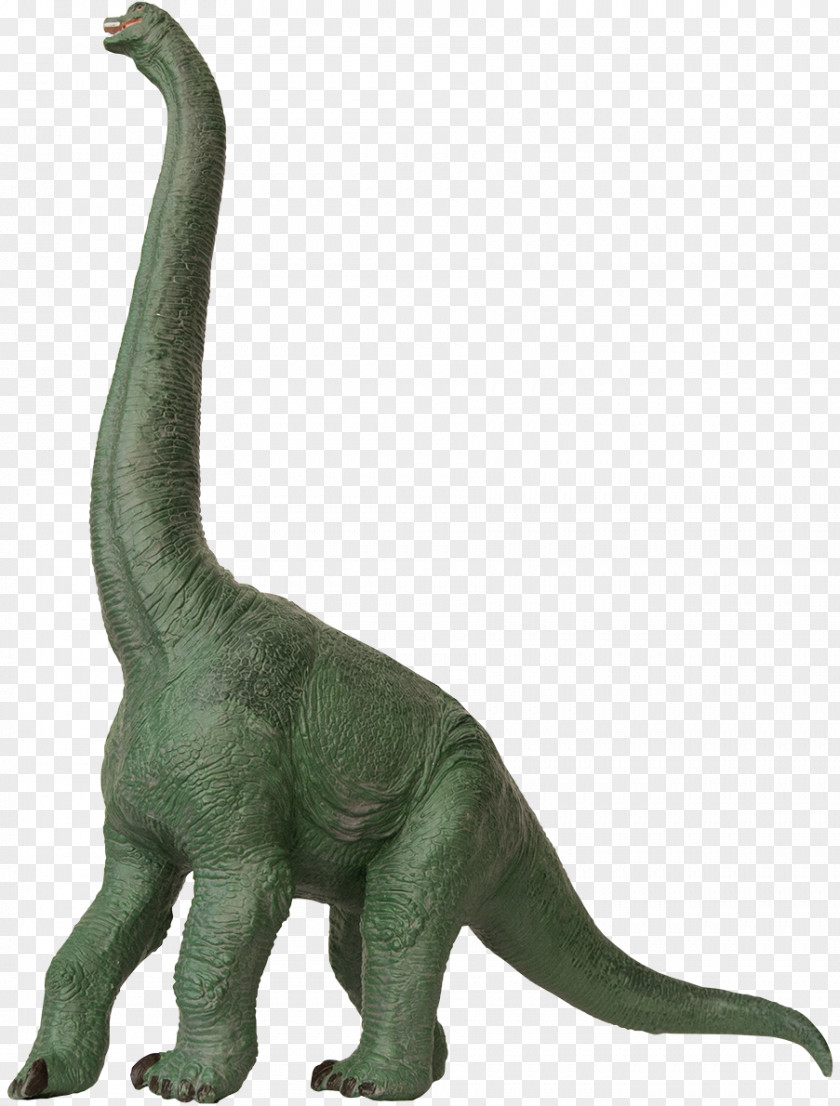 Fossil Dinosaur King Brachiosaurus Apatosaurus Plateosaurus Stegosaurus PNG