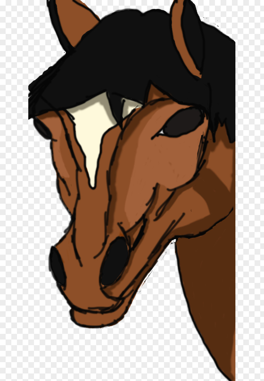 Horse Color Dog Cat Paw Snout PNG