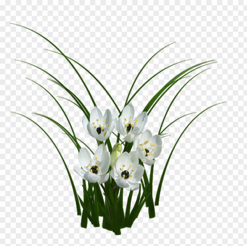 Nursery Flower Garden PNG