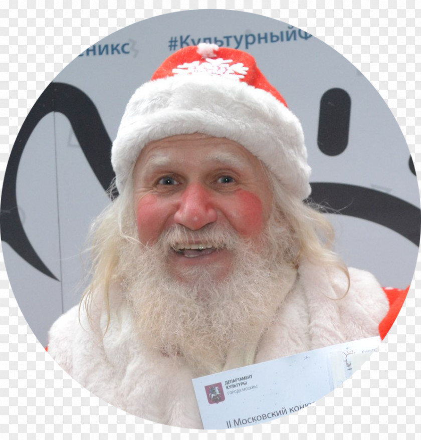 Santa Claus Christmas Ornament Beard PNG