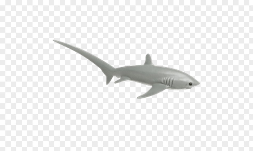 Shark Cartilaginous Fishes Safari Ltd Common Thresher Animal PNG