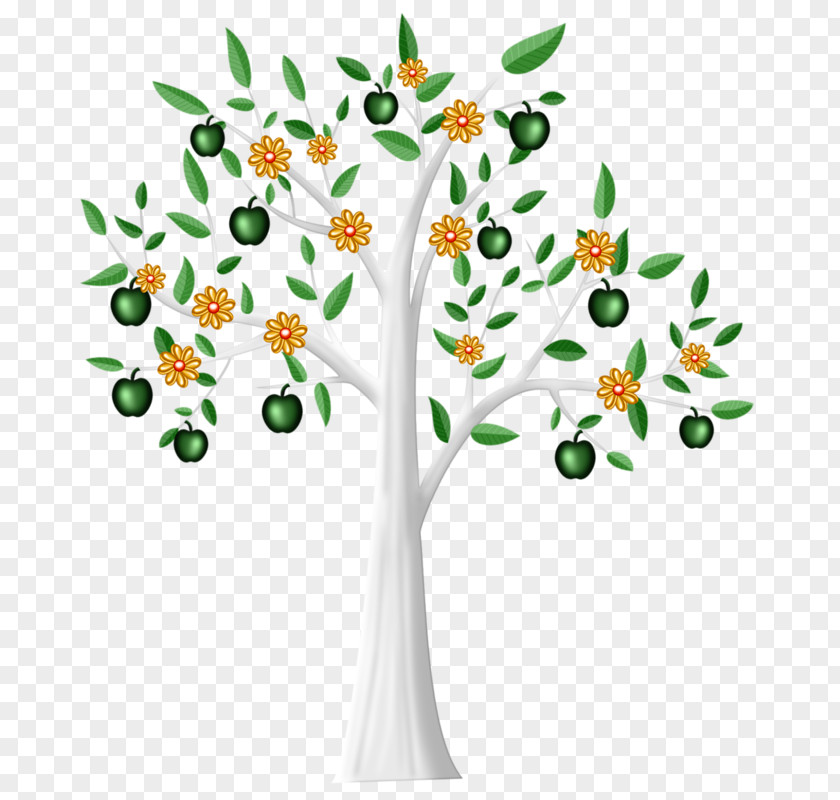 Zhang A Full Apple Tree Drawing Clip Art PNG