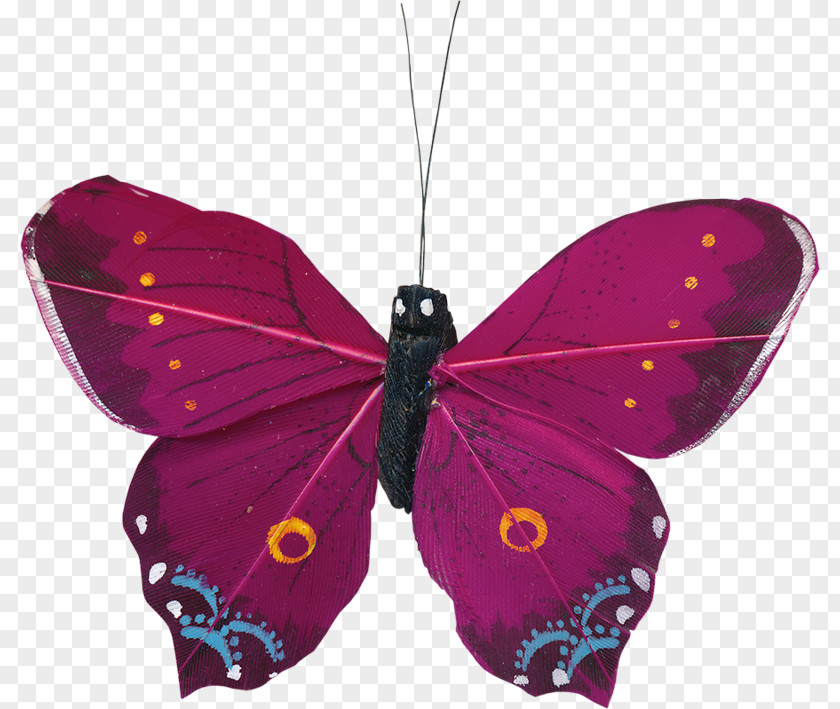 Chou Blanc Papillon Brush-footed Butterflies Butterfly Magenta Image Drawing PNG