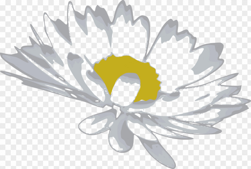 Daisy Vector Cut Flowers Petal Common PNG