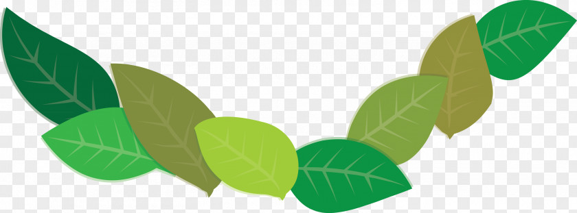 Leaf Plant Stem Green Meter Plants PNG