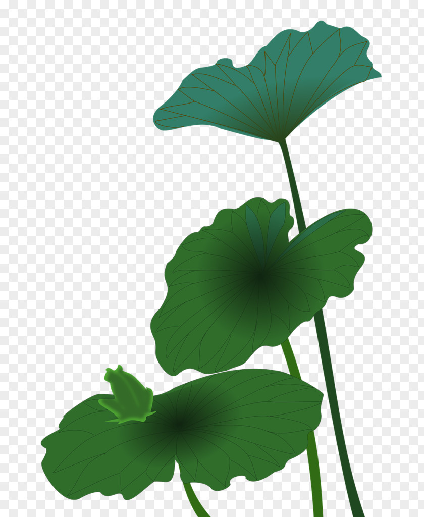 Plant Stem Annual Green Leaf Logo PNG