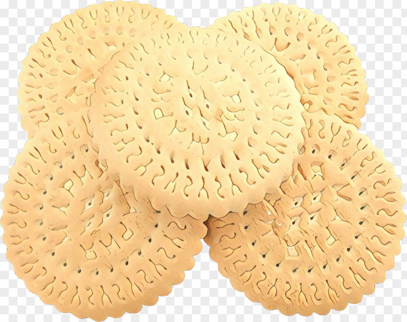 Higashi Baked Goods Cookies And Crackers Biscuit Cookie Snack Finger Food PNG
