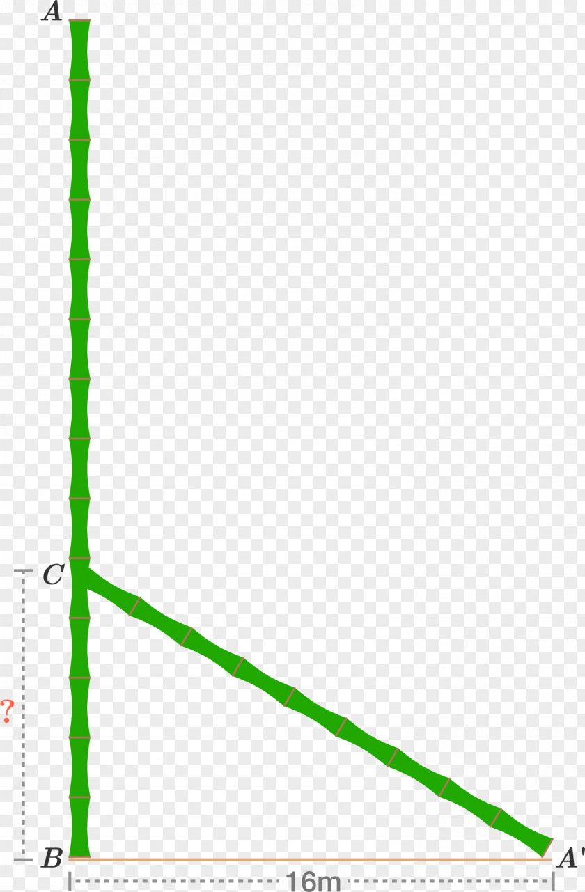 Mathematics Geometry Pythagorean Theorem Angle Meter PNG