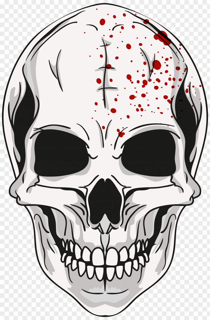 Halloween Skull Clip Art Image Calavera PNG