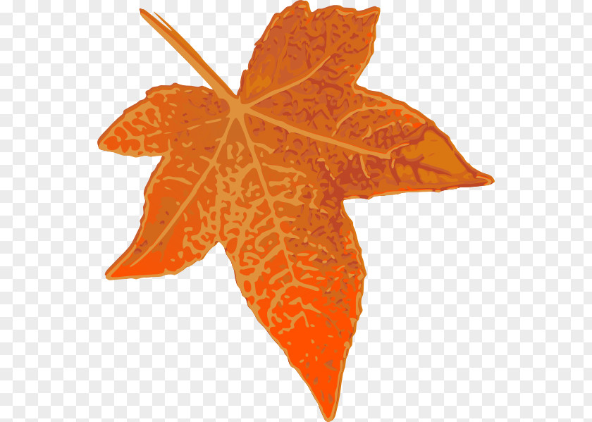 Orange Tree Maple Leaf Autumn Clip Art PNG