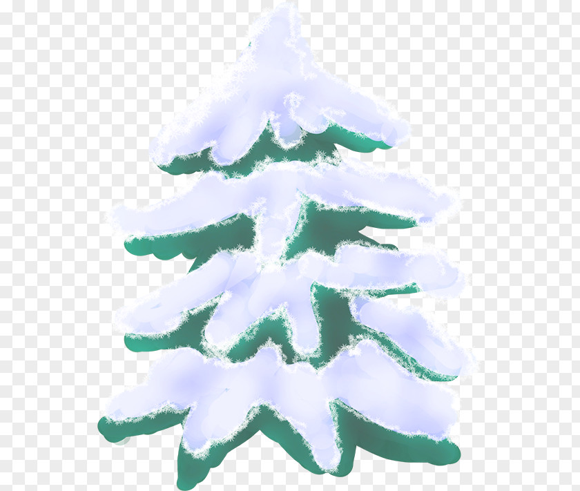 Christmas Tree Fir Ornament Spruce PNG