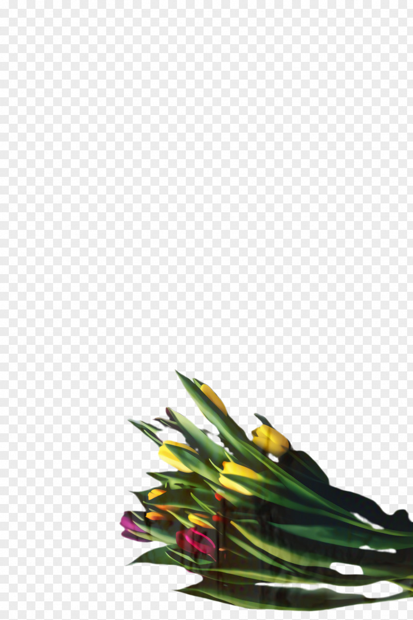 Cut Flowers Vegetable Background PNG