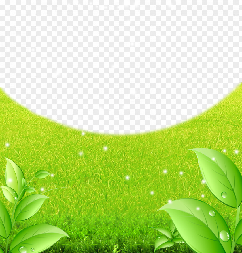 Green To Background Material Lawn Fundal PNG