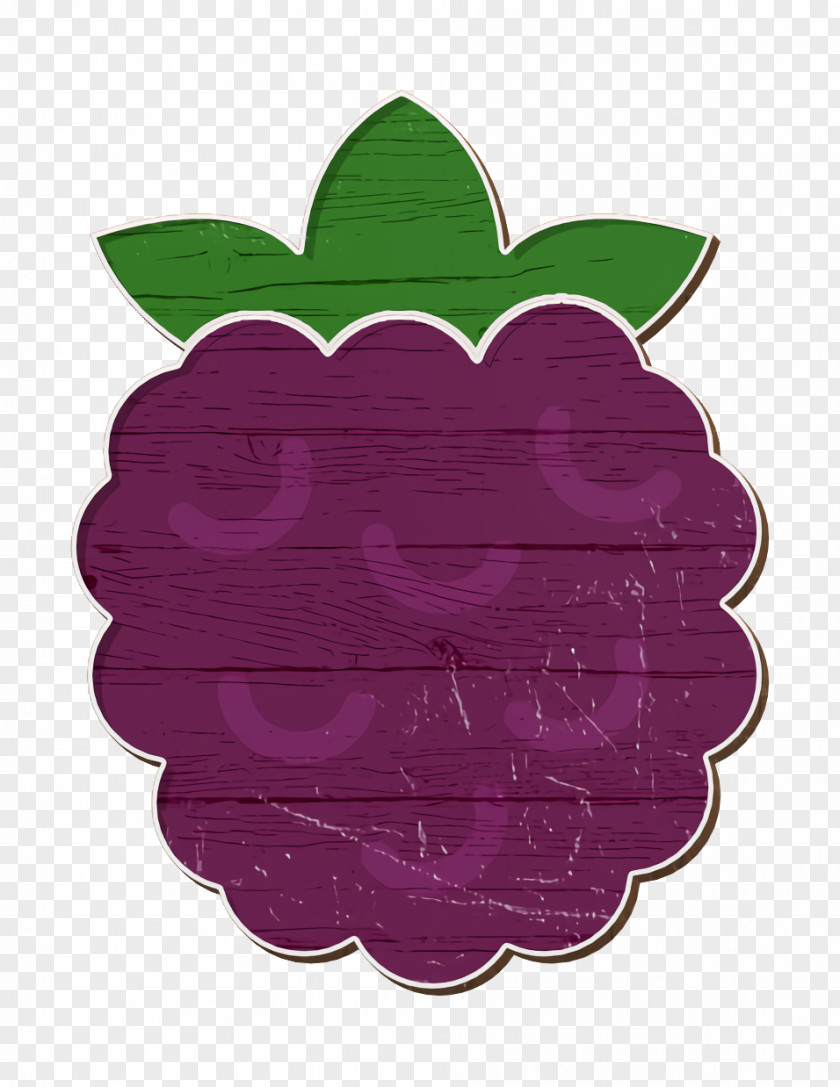 Raspberry Icon Fruit Gastronomy Set PNG