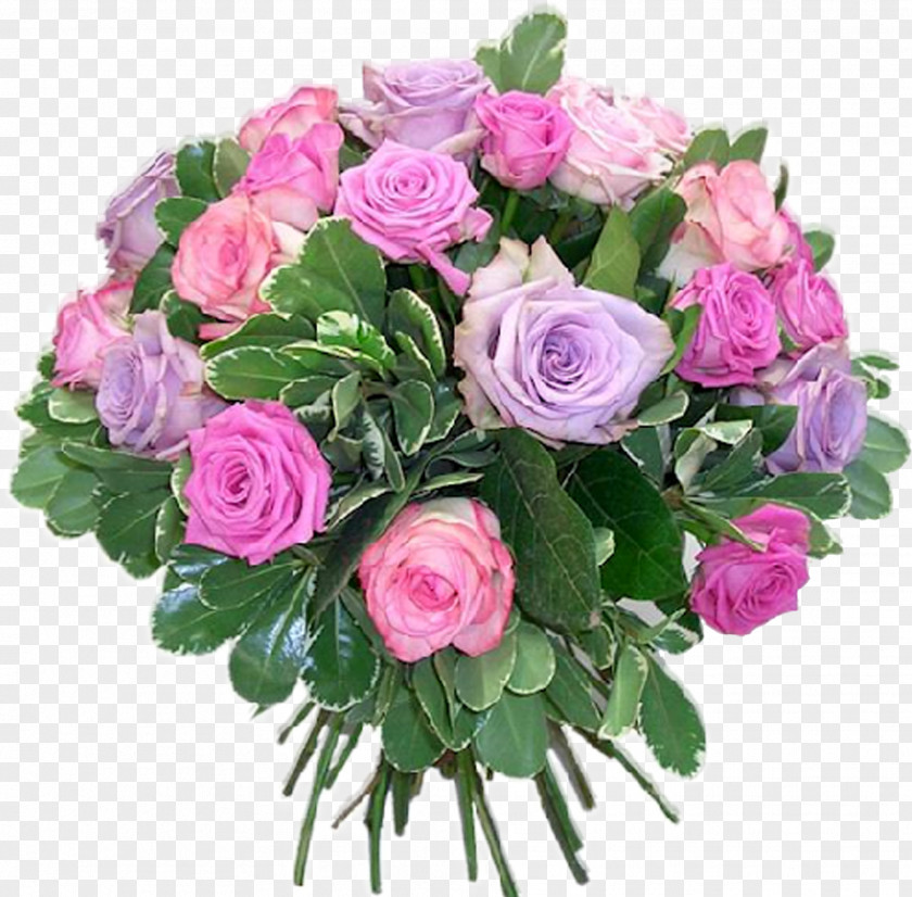 Real Flowers Cut Limonium Floristry Flower Delivery PNG
