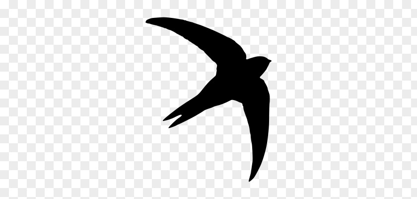 Silhouette Common Swift Bird PNG
