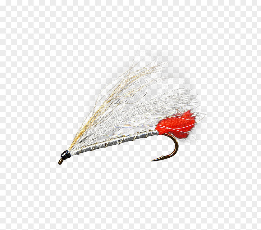 Streamer Flies Artificial Fly Eastern Blacknose Dace Holly Email September 1 PNG