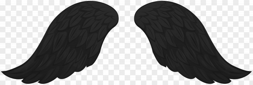 Wing Illustration Shoe Black M PNG