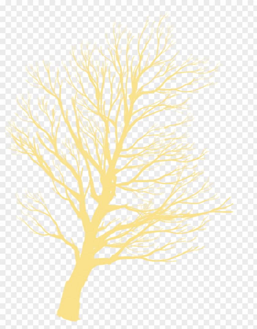 Yellow Tree Silhouette Decorative Motifs Twig PNG