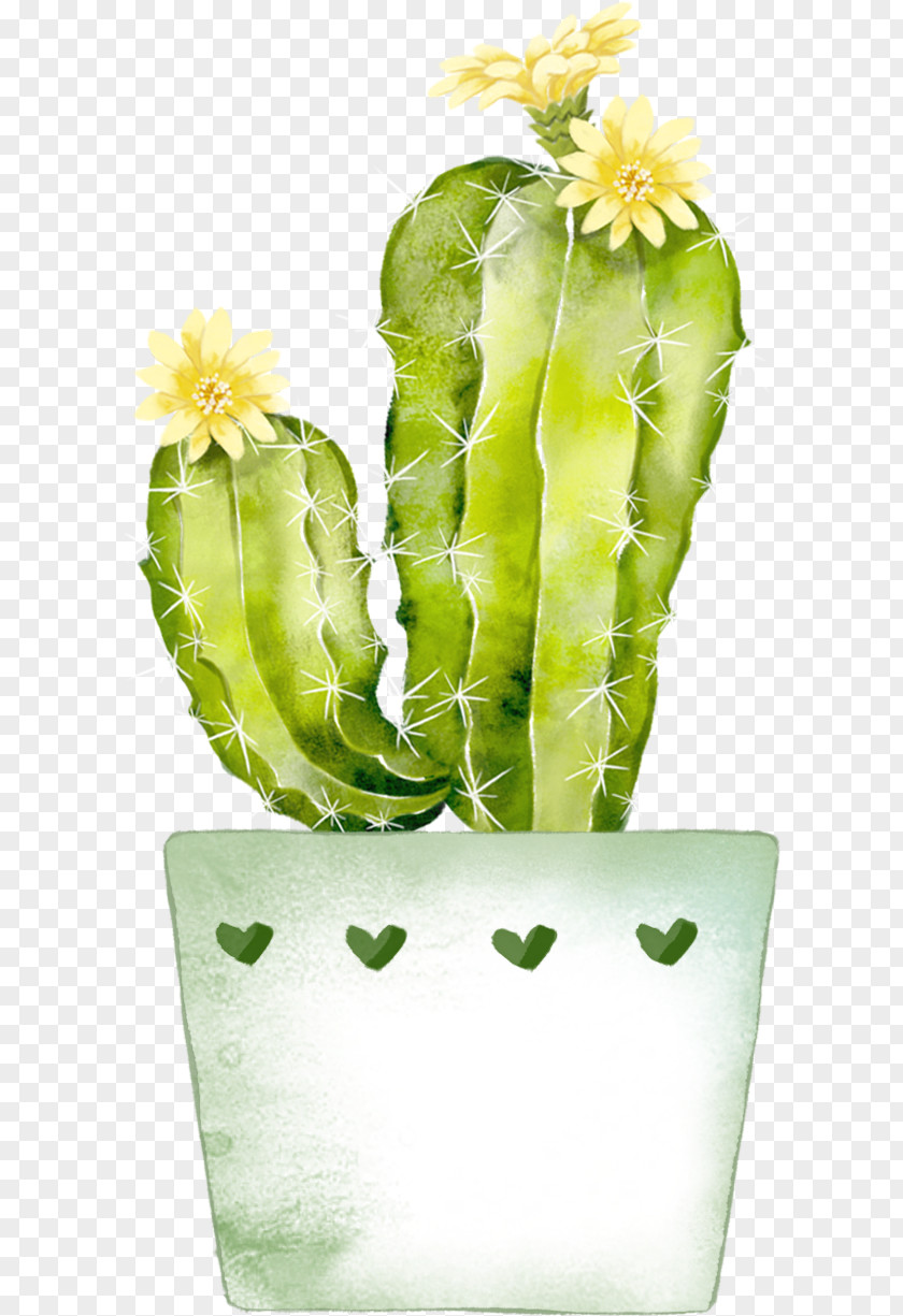 Green Cartoon Cactus Plant Cactaceae Watercolor Painting PNG