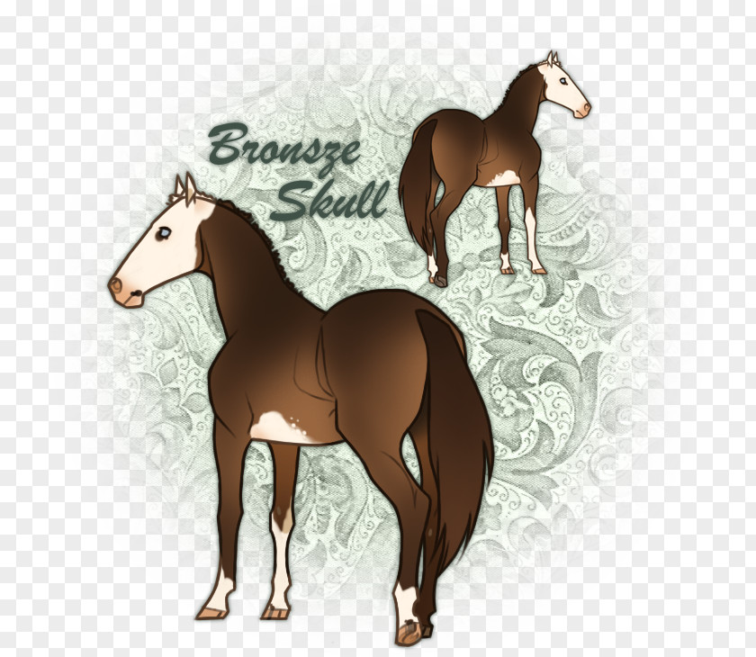 Mustang Foal Stallion Colt Mare PNG