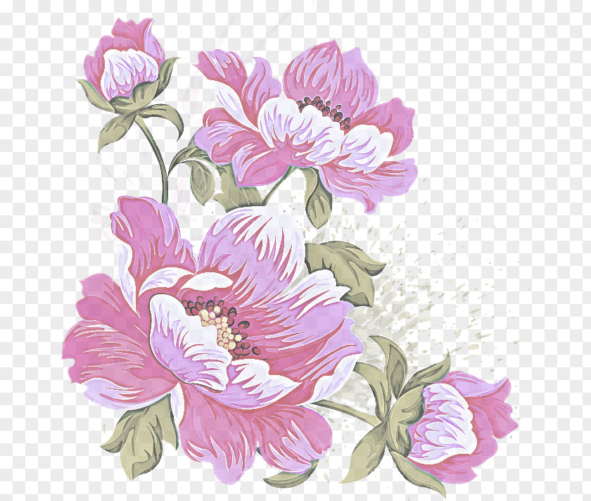 Prickly Rose Peony Flower Flowering Plant Petal Pink PNG