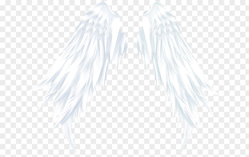 White Angel Wings Outerwear Black Pattern PNG