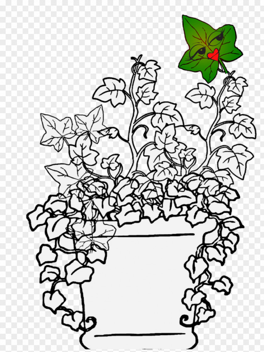 Edera Floral Design Visual Arts Leaf Plant Stem PNG