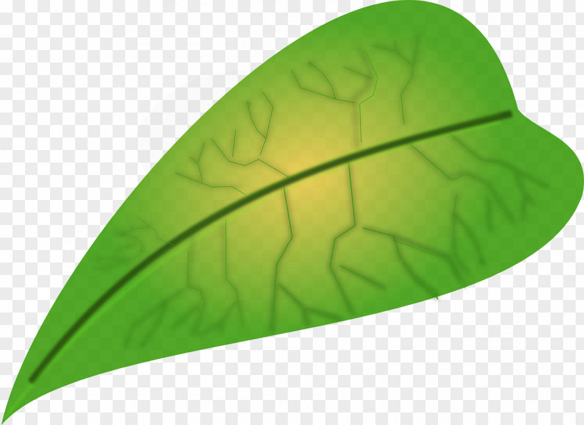 Green Leaves Leaf Apple Clip Art PNG