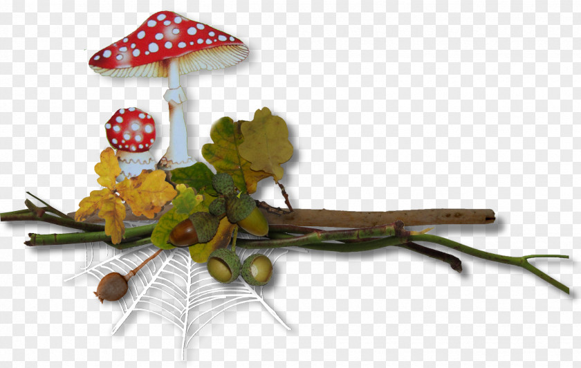 Mushrooms Autumn Text 0 1 Clip Art PNG