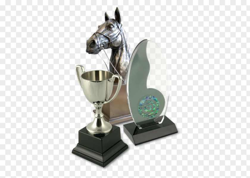 Silver Trophy Shepton Mallet Award British Gymnastics Radstock PNG