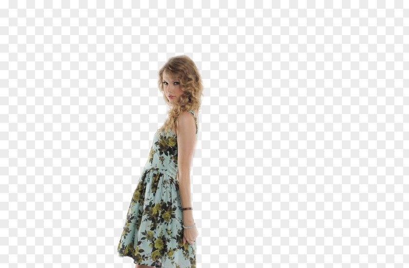 Taylor Swift The Red Tour United States Photo Shoot Cocktail Dress PNG