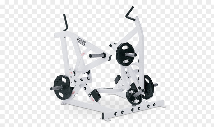 Evolt Strength Training Exercise Equipment Squat Fitness Centre Physical PNG