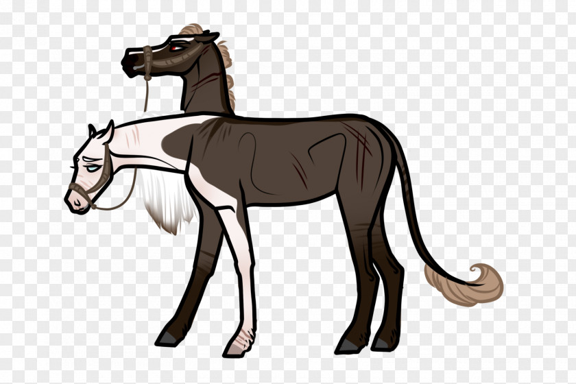 Mustang Foal Donkey Stallion Colt PNG