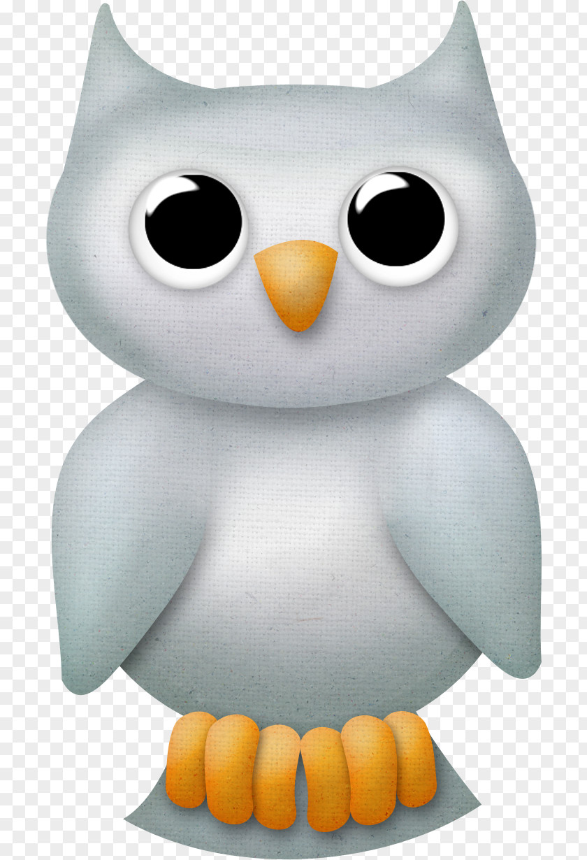 Owl Little Bird Image Illustration PNG