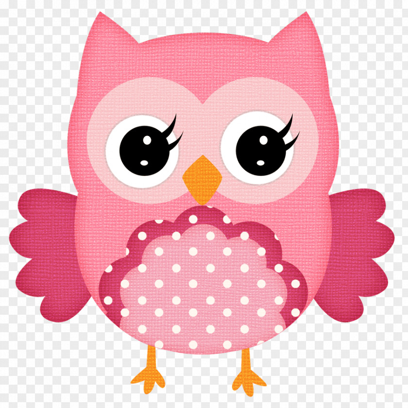 Pink Owl Little Stock Market Crash Baby Shower PNG