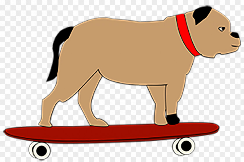 Recreation Sports Equipment Dog Cartoon PNG