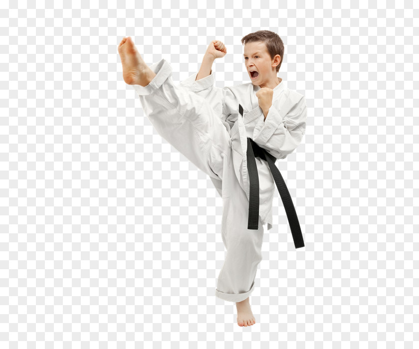 Artes Marciales Kick Taekwondo Martial Arts Karate Kenpō PNG
