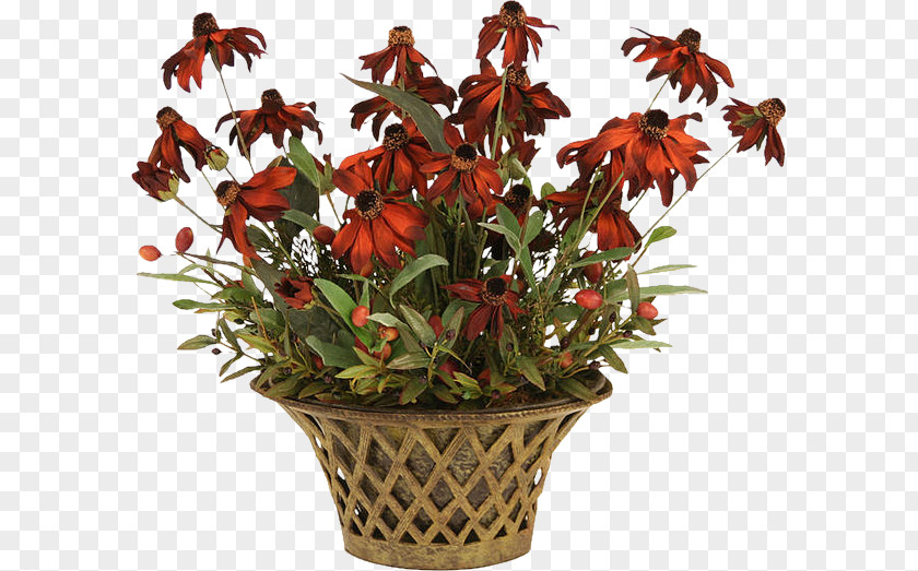 Design Floral Flowerpot Cut Flowers Houseplant PNG