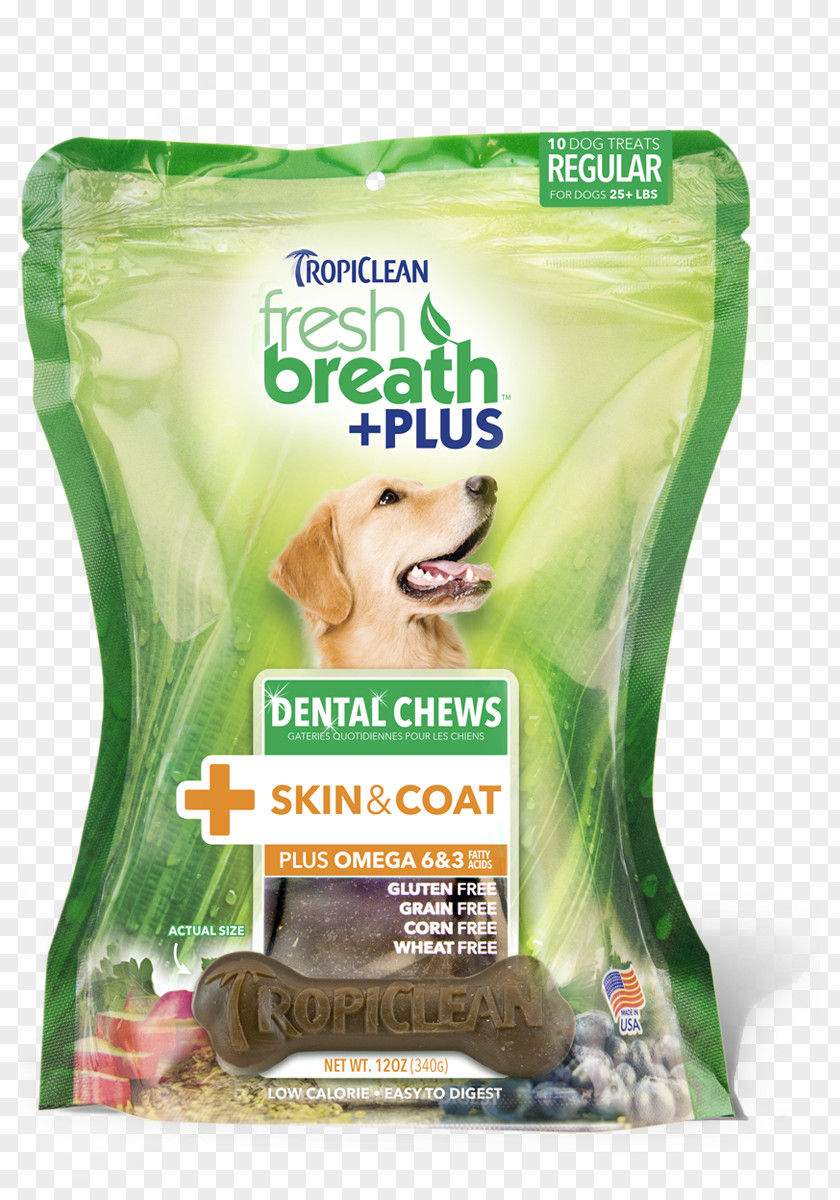 Dog Teeth Cleaning Dentistry Cat PNG