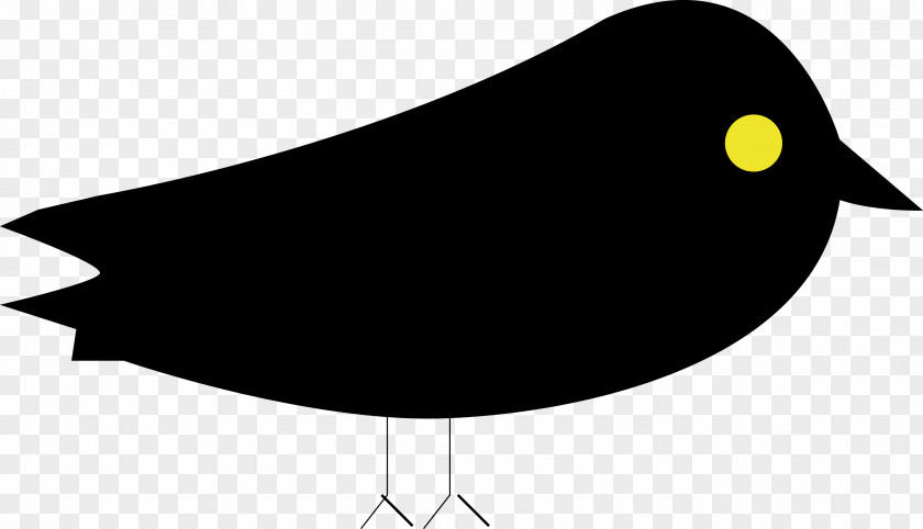 Finch Perching Bird Halloween Crow PNG