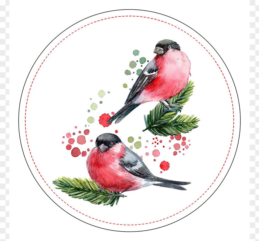 Holly Songbird Christmas 2019 PNG