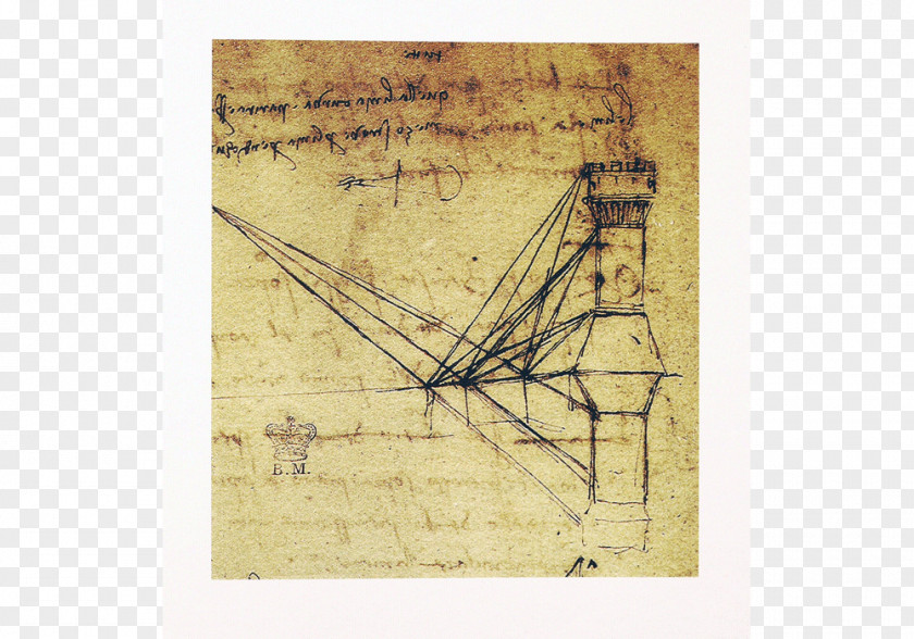 Leonardo Davinci Paper Angle PNG