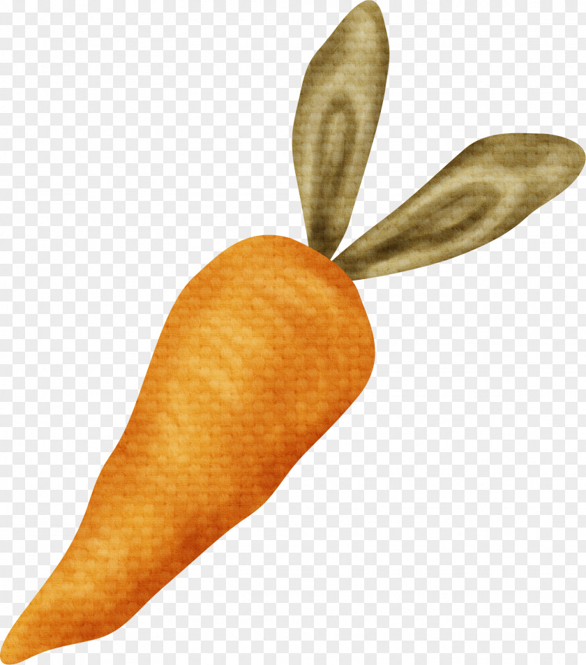 Orange Carrots Carrot Ice Cream Cone PNG