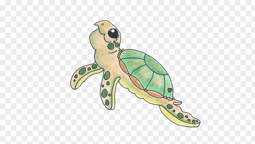 Sea Turtle Tortoise Animal Endangered Species PNG
