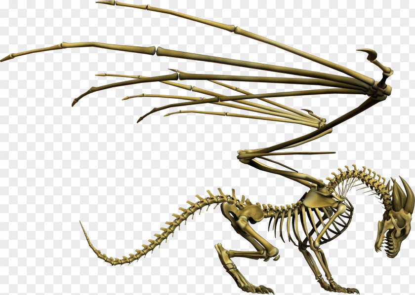 Skeleton Dragon Figurine Invertebrate Clip Art PNG