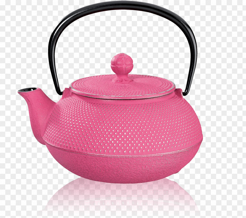 Teapot Tetsubin Cast Iron Japanese Cuisine PNG